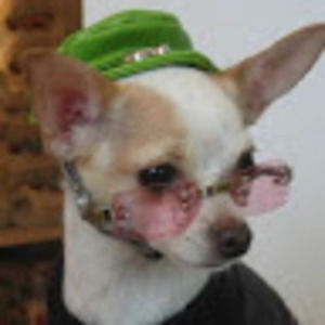 Meet your Posher, Isleen